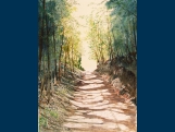 Path through the woods,Tzagarada,Pilion 25.5x33.5